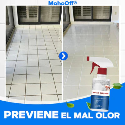 SPRAY REMOVEDOR DE MOHO - MOHOOFF™